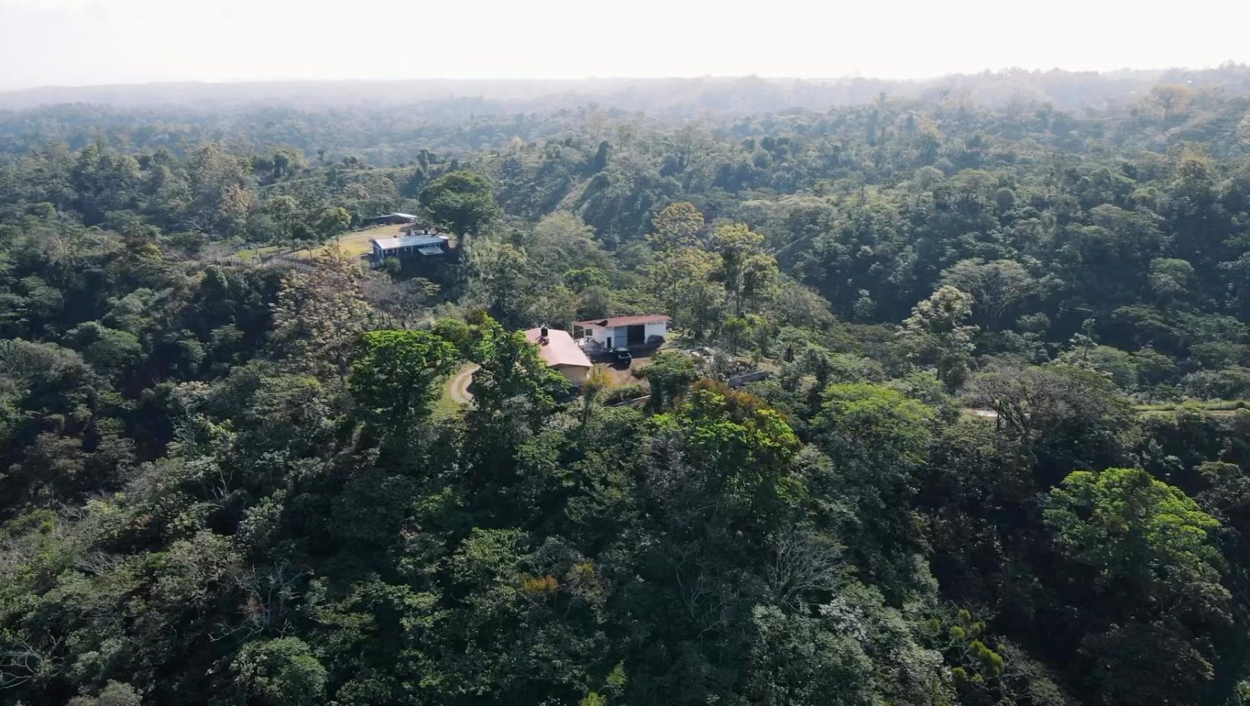 Aerial view of the houses at Gaia Reborn surrounded by forest
